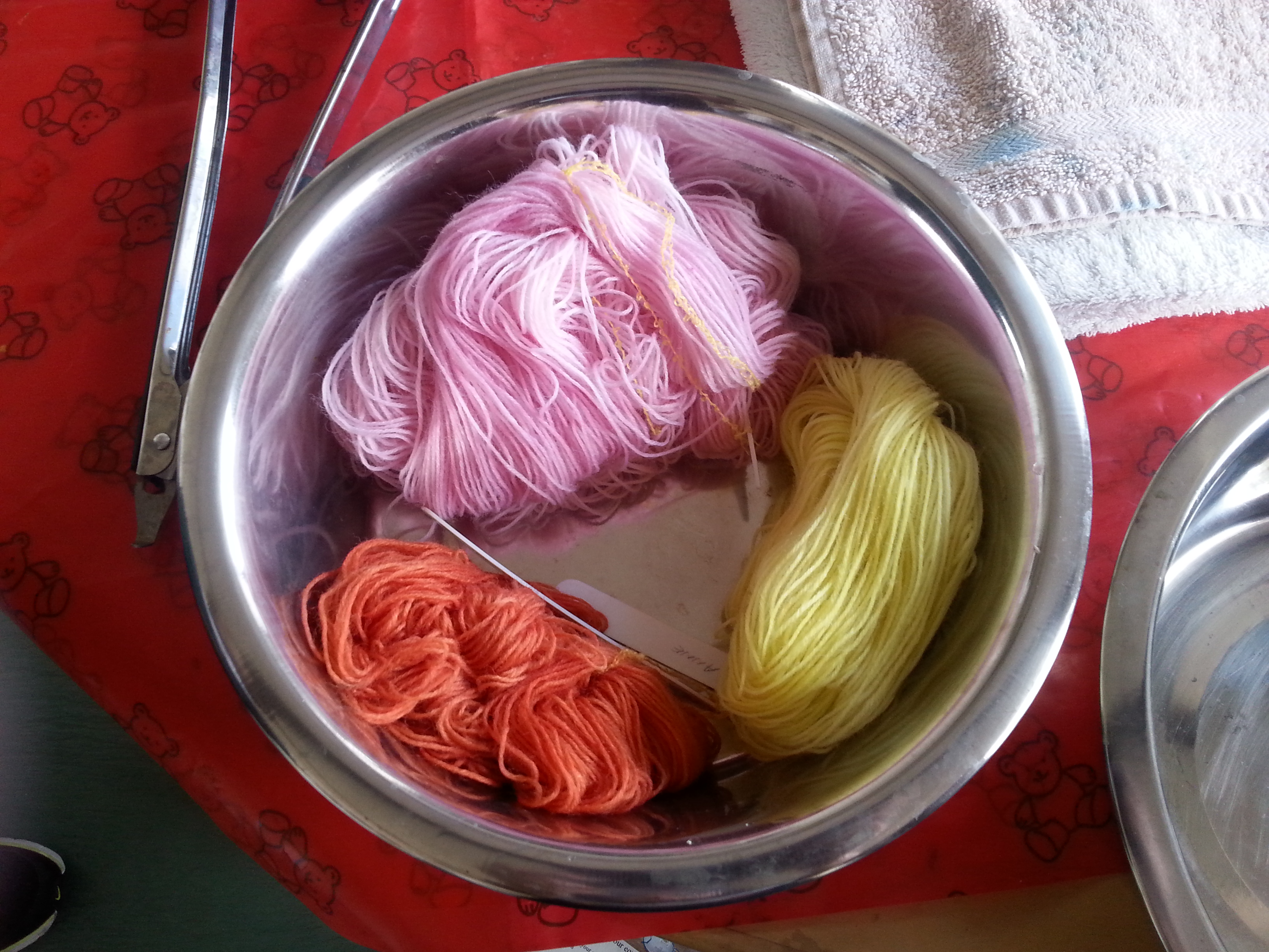 Introduction to Hand-dyeing with Natural Dye Extracts with Debbie ...